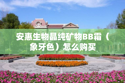 安惠生物晶纯矿物BB霜（象牙色）怎么购买