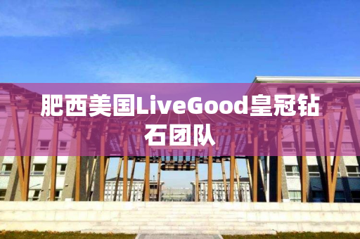 肥西美国LiveGood皇冠钻石团队