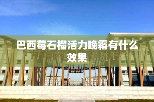巴西莓石榴活力晚霜有什么效果