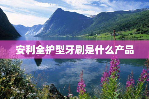 安利全护型牙刷是什么产品