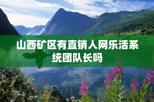 山西矿区有直销人网乐活系统团队长吗