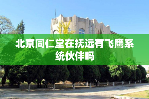 北京同仁堂在抚远有飞鹰系统伙伴吗