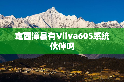 定西漳县有Viiva605系统伙伴吗
