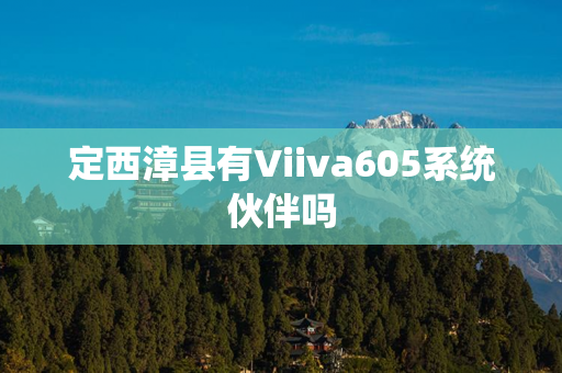 定西漳县有Viiva605系统伙伴吗