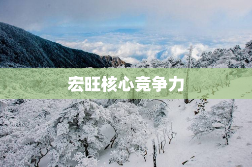 宏旺核心竞争力
