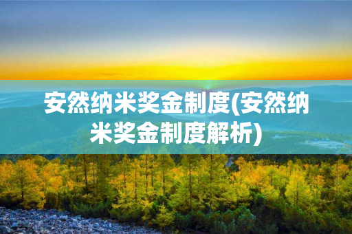 安然纳米奖金制度(安然纳米奖金制度解析)