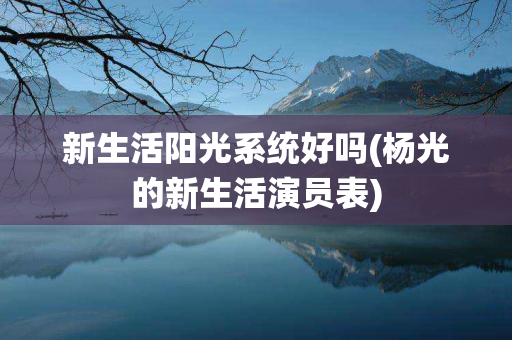 新生活阳光系统好吗(杨光的新生活演员表)