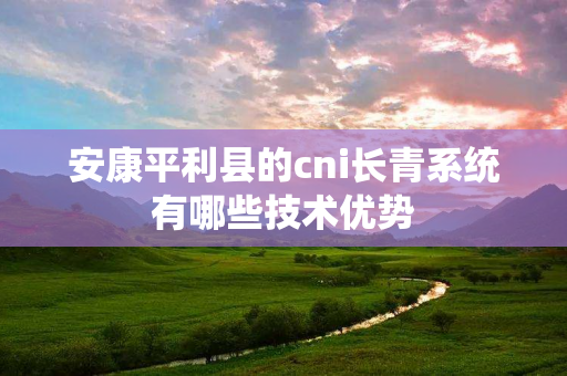 安康平利县的cni长青系统有哪些技术优势