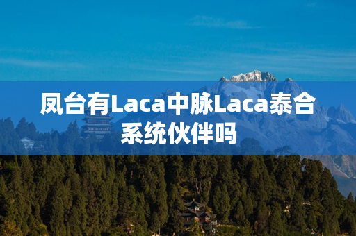 凤台有Laca中脉Laca泰合系统伙伴吗