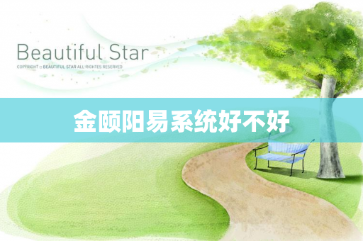 金颐阳易系统好不好