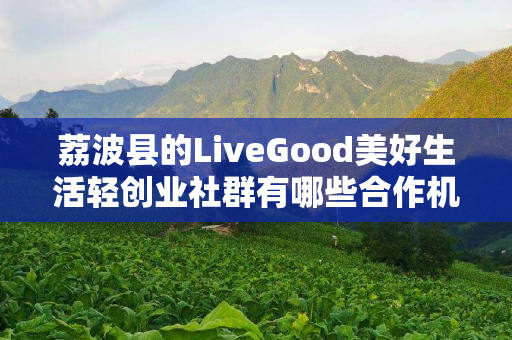 荔波县的LiveGood美好生活轻创业社群有哪些合作机会