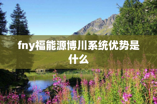fny福能源博川系统优势是什么