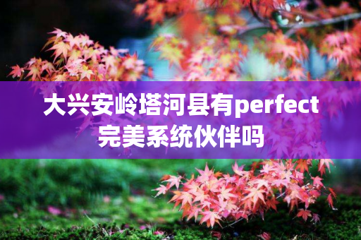 大兴安岭塔河县有perfect完美系统伙伴吗