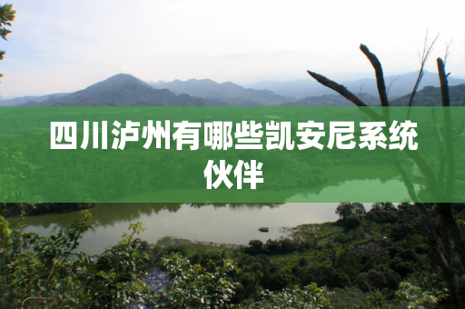 四川泸州有哪些凯安尼系统伙伴