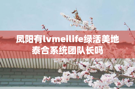 凤阳有lvmeilife绿活美地泰合系统团队长吗