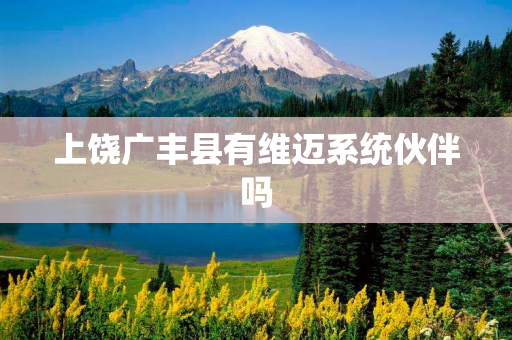 上饶广丰县有维迈系统伙伴吗