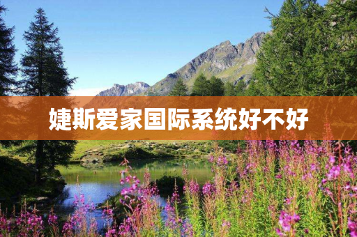 婕斯爱家国际系统好不好