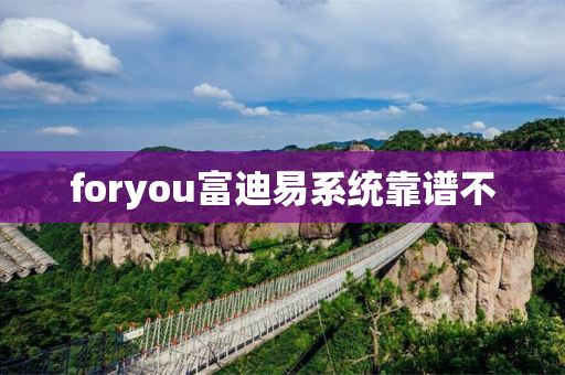 foryou富迪易系统靠谱不