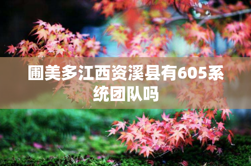 圃美多江西资溪县有605系统团队吗