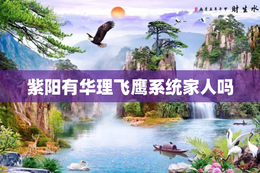 紫阳有华理飞鹰系统家人吗