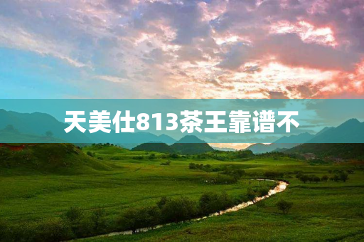 天美仕813茶王靠谱不
