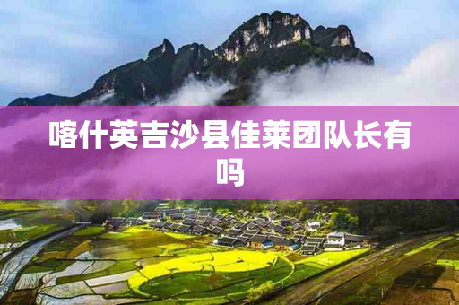 喀什英吉沙县佳莱团队长有吗