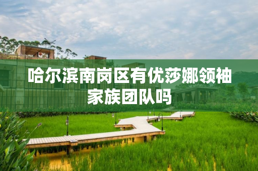 哈尔滨南岗区有优莎娜领袖家族团队吗