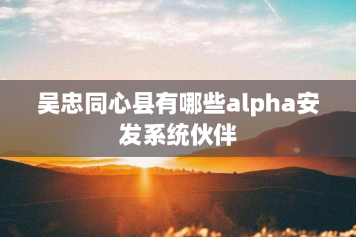 吴忠同心县有哪些alpha安发系统伙伴