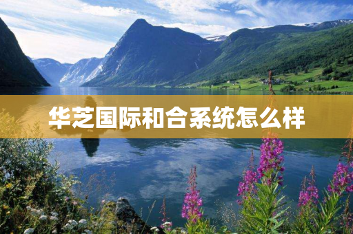华芝国际和合系统怎么样
