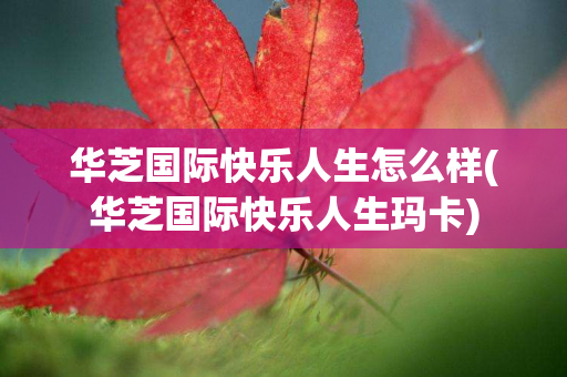 华芝国际快乐人生怎么样(华芝国际快乐人生玛卡)