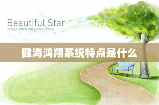 健海鸿翔系统特点是什么