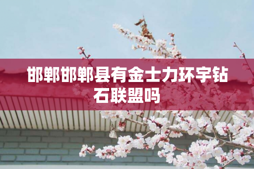 邯郸邯郸县有金士力环宇钻石联盟吗