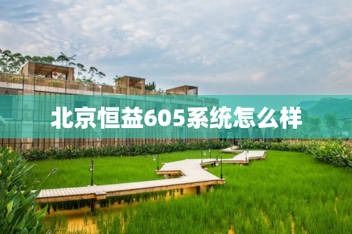 北京恒益605系统怎么样