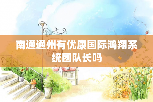南通通州有优康国际鸿翔系统团队长吗