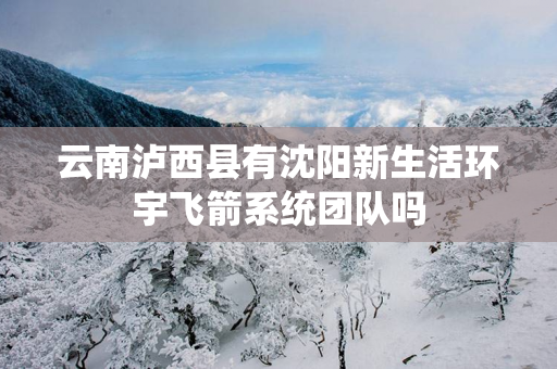 云南泸西县有沈阳新生活环宇飞箭系统团队吗