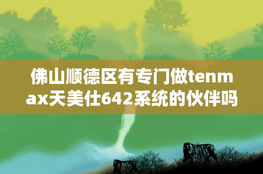 佛山顺德区有专门做tenmax天美仕642系统的伙伴吗