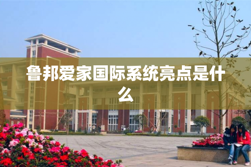 鲁邦爱家国际系统亮点是什么