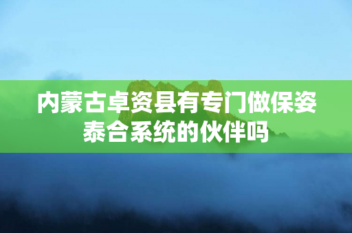 内蒙古卓资县有专门做保姿泰合系统的伙伴吗
