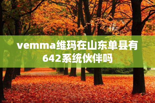 vemma维玛在山东单县有642系统伙伴吗