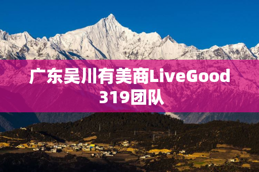 广东吴川有美商LiveGood 319团队