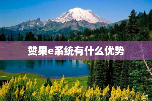赞果e系统有什么优势