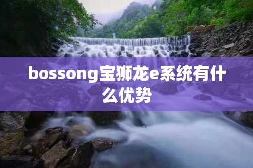 bossong宝狮龙e系统有什么优势