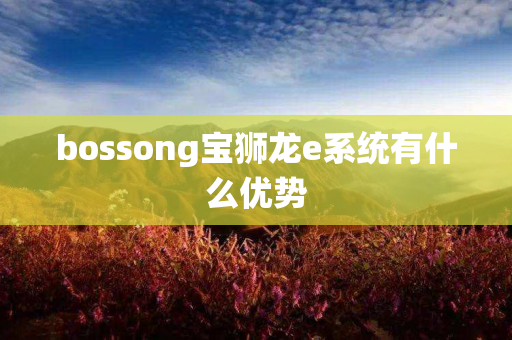 bossong宝狮龙e系统有什么优势