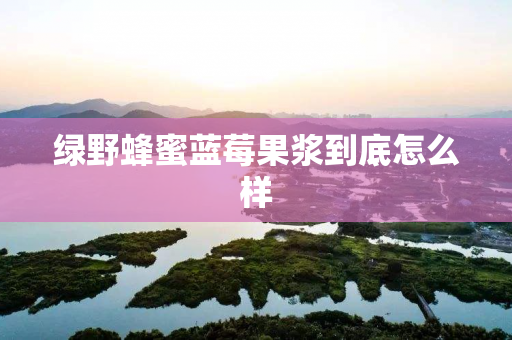 绿野蜂蜜蓝莓果浆到底怎么样