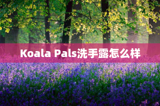 Koala Pals洗手露怎么样
