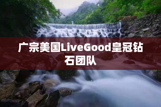 广宗美国LiveGood皇冠钻石团队