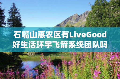 石嘴山惠农区有LiveGood好生活环宇飞箭系统团队吗