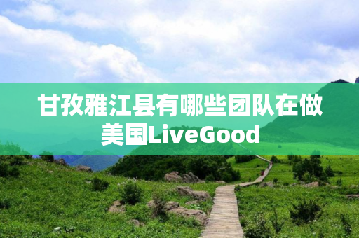 甘孜雅江县有哪些团队在做美国LiveGood