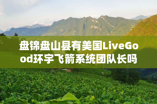 盘锦盘山县有美国LiveGood环宇飞箭系统团队长吗