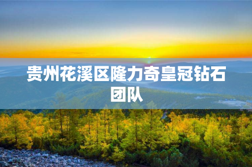 贵州花溪区隆力奇皇冠钻石团队